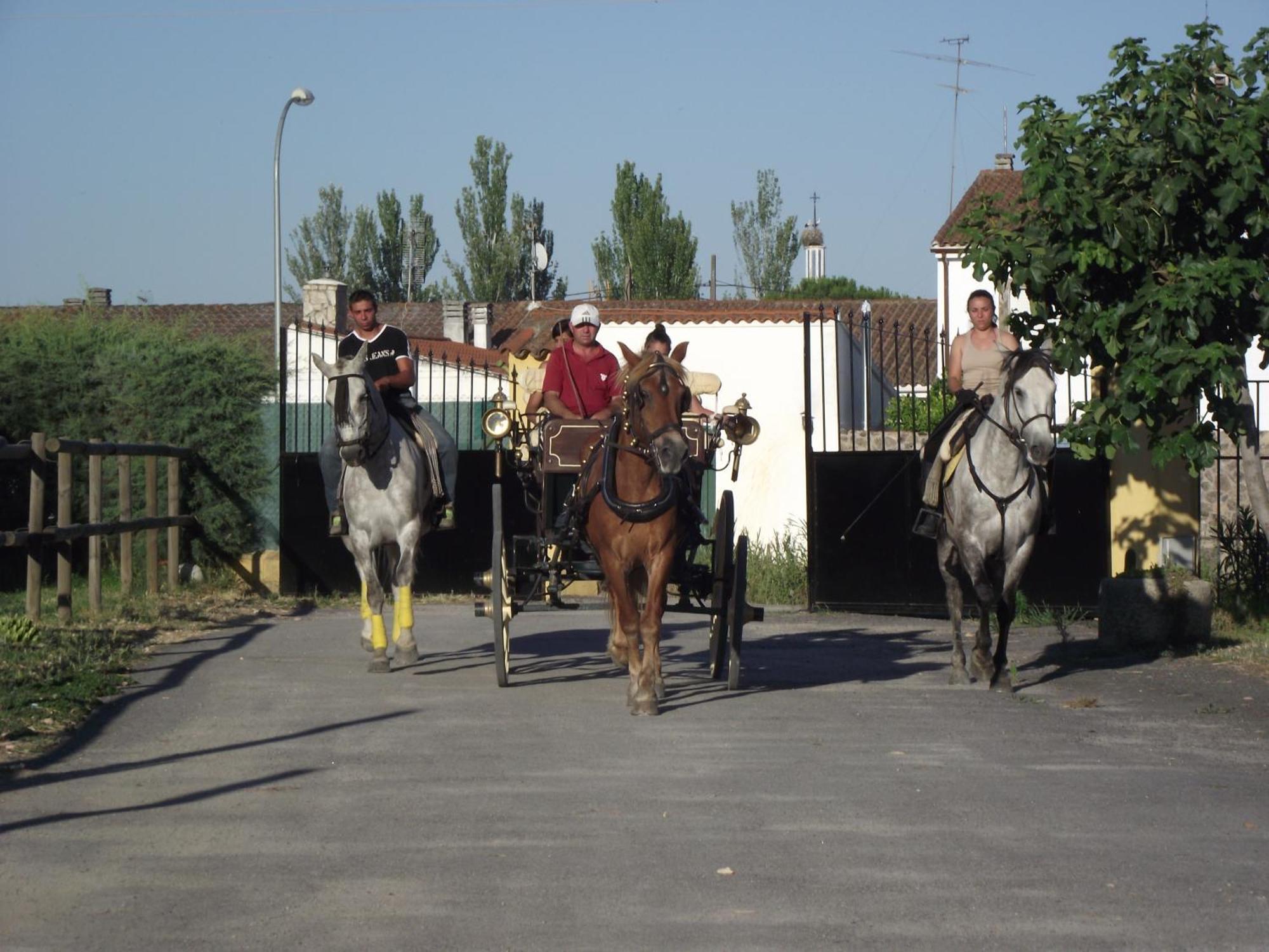 La Posada Hipica Rosalejo  المظهر الخارجي الصورة