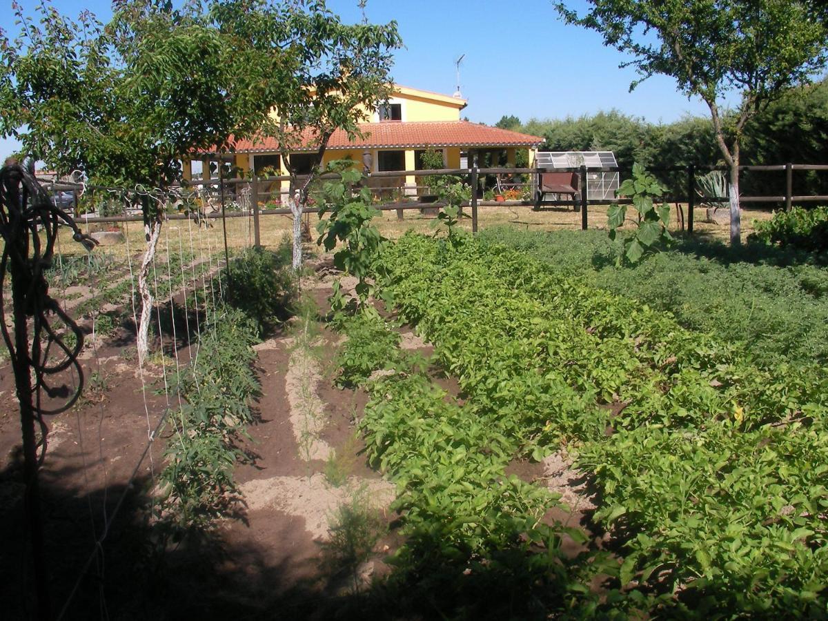 La Posada Hipica Rosalejo  المظهر الخارجي الصورة