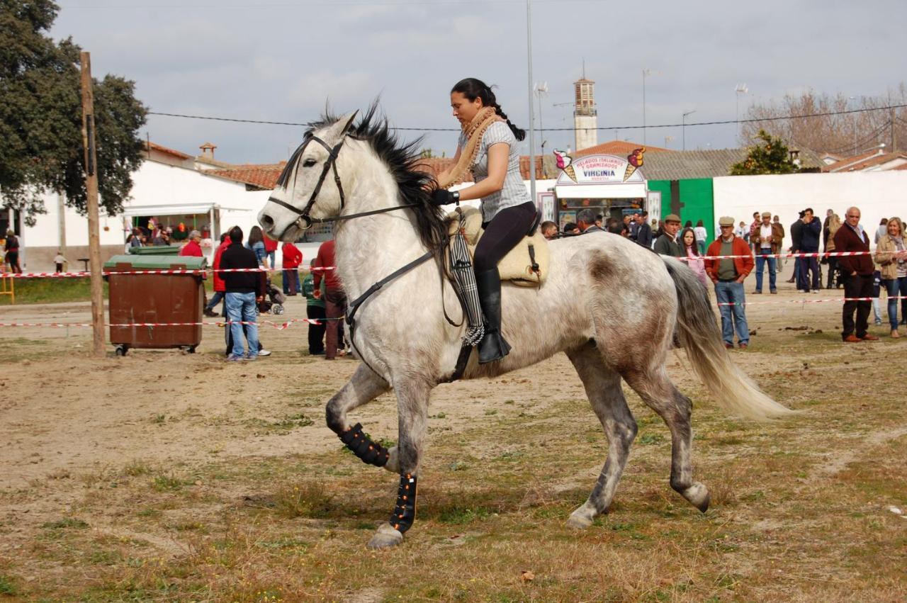 La Posada Hipica Rosalejo  المظهر الخارجي الصورة